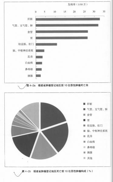 《2014年福建省恶性肿瘤报告》发布,胃癌发病率最高,肝癌死亡率最高