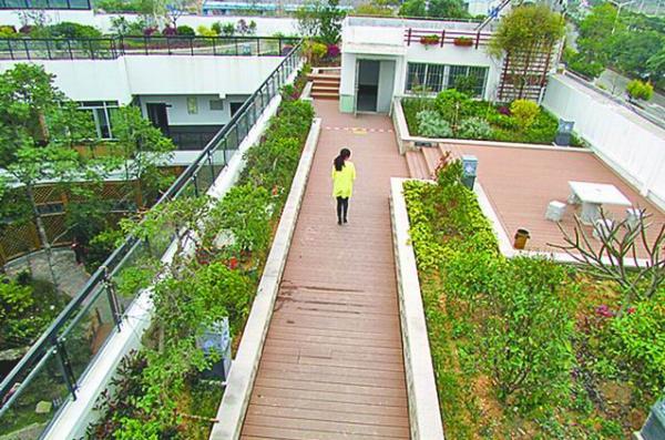 莆田首个试点屋顶花园已竣工 亮相绶溪公园