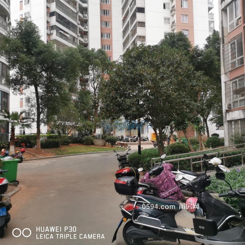 電視臺附近 正榮潤璟對面鳳達雅苑 高層精裝大三房三和嘉園