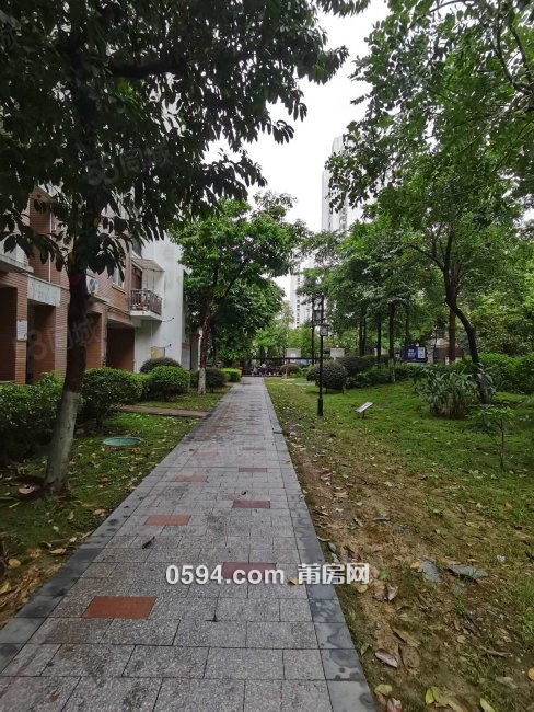 急售 九中 荔園華府 滿五 高樓層視野好 帶電梯 南北通透