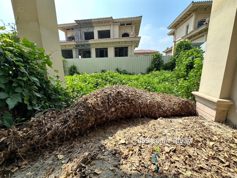 綬溪旁 博物館對(duì)面 前后花園，帶地下室 恒大御龍?zhí)旆鍎e墅