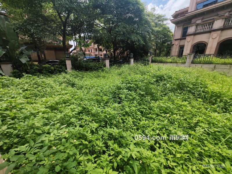 房東急售安特紫荊城雙拼別墅送500平大花園上下5層看房隨時