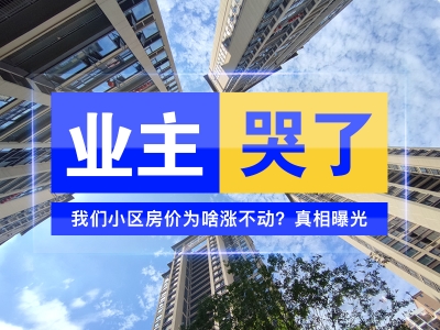 業主哭了：我們小區房價為啥漲不動？真相曝光...