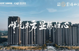 视频截图