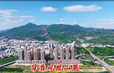视频截图