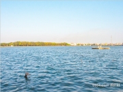 白塘湖